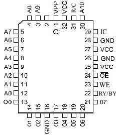 t13.jpg (21138 bytes)